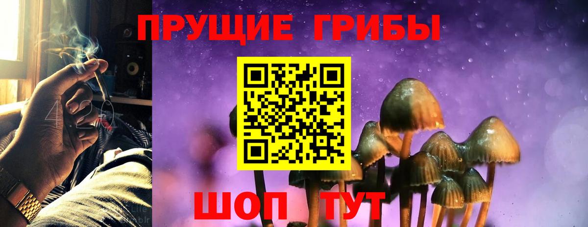 Псилоцибиновые грибы мухоморы  Вход с VPN  Медногорск 