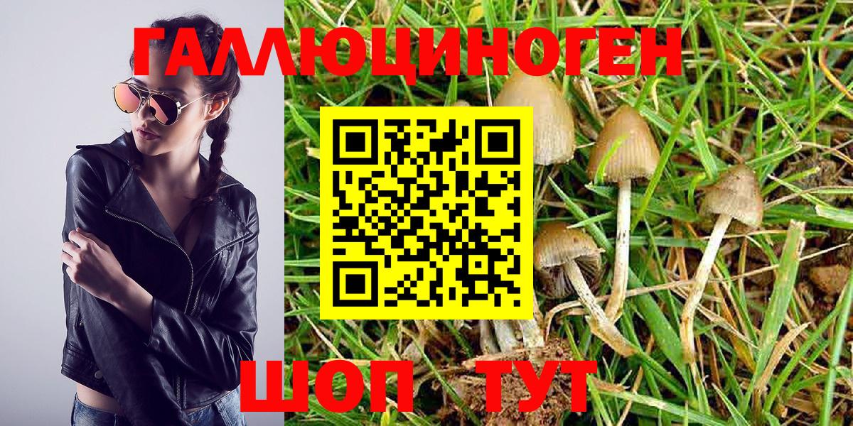 Псилоцибиновые грибы MAGIC MUSHROOMS Медногорск